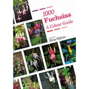 1000 Fuchsias: A Color Guide