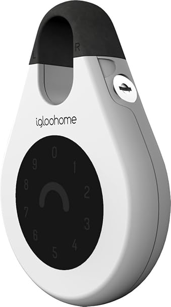 access google home remotely