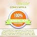 Soul ReLife | Premium Lavender Foot Pads | 30-Pack | Odor Free - No Smell | Includes 30 Adhesive Feet Patches & Sheets | for Cleansing Impurities, Sleeping & Anti-Stress Relief