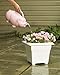 Novelty 30500 Pig Watering Can, Pink, 1.75 Gallons