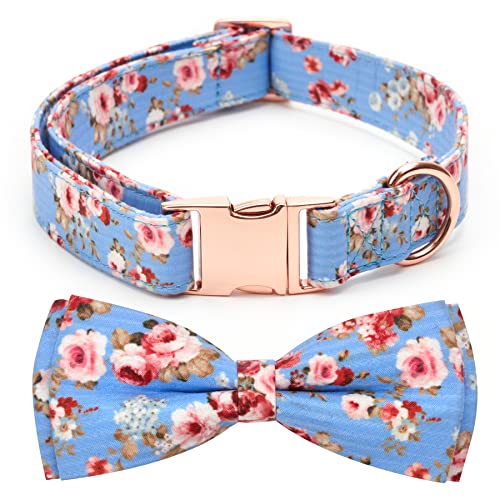 The Best Dog Collar Bows Dogtime