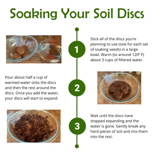 Bonsai Tree Starter Kit Mini Bonsai Plant Growing Kit All You Need