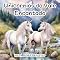 Livro Unicórnios do Vale Encantado (Mundo Encantado)