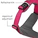 Ruffwear, Front Range Dog Harness, Reflective Soft Padded Everyday Harness with Dual Leash Clips, Adjustable and Lightweight Fit for Training or Walking for All Dogs, Wild Berry, Large/X-Large