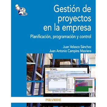 Gestión de proyectos en la empresa: Planificación, programación y control (Economía Y Empresa)