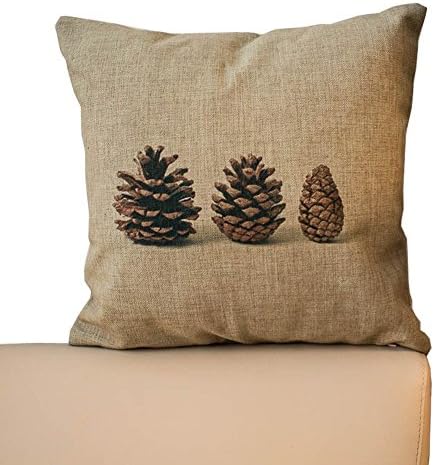 We Seller Custom Pillowcase Pine Cone Decorative Throw Pillow Covers 18 x 18 Inches