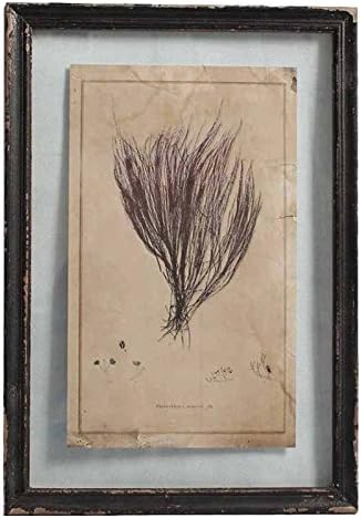 Amazon Com Better Best 2351244 Wall Table With Engraved Tree Of Sea 5 Heart Of Glass Black Frame 40 X 58 X 1 8 Cm Posters Prints