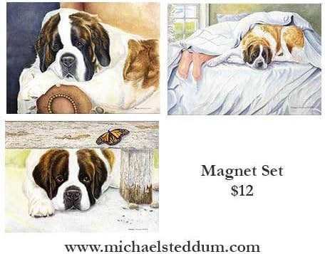 Saint Bernard Magnet Set