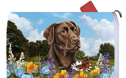 Chocolate Labrador - Best of Breed Dog Breed Mail Box Cover