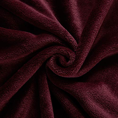 MERRYLIFE Decorative Throw Blanket Ultra-Plush Comfort | Soft, Colorful, Oversized | Home, Couch, Outdoor, Travel Use | (50" 60",Fig