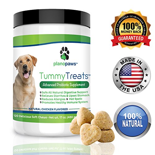 Tummy Treats Probiotics for Dogs Safe All Natural Dog Allergy