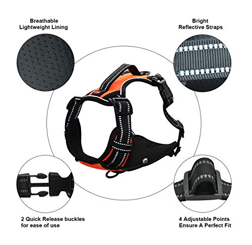 Dog Harness No Pull Dog Vest with Leash Adjustable & Reflective Pet Vest Harnesses and Leash Easy Control for Small Medium Large Dogs (Medium, Orange) - Thumbnail 2