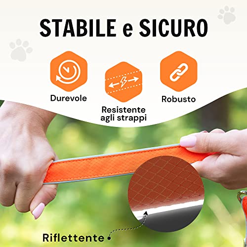 Hundefreund Multifunctional Leash (6 in 1) Adjustable 3M Hanging Reflective Dog Leash with 3 Rings for Medium and Large Dogs, Double Shoulder Leash and Sports Leash