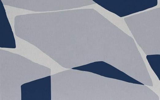 Amazon.de: Teppich-Shaggy Teppich (Hochflor) Wohnzimmer mat Wohnzimmer