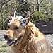 Dog Elk Antler Reindeer Hat Cap Dog Cat Pet Christmas Costume Outfits Small Big Dog Hat Headwear Hair Grooming Accessories (L(for Medium and Big Dog), Brown)