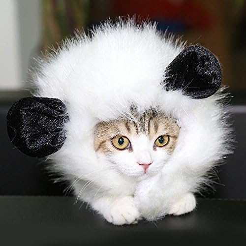 Bettli Pet Costume Lion Mane Wig for Cat or Small Dog Halloween Christmas Clothe Fancy Dress up