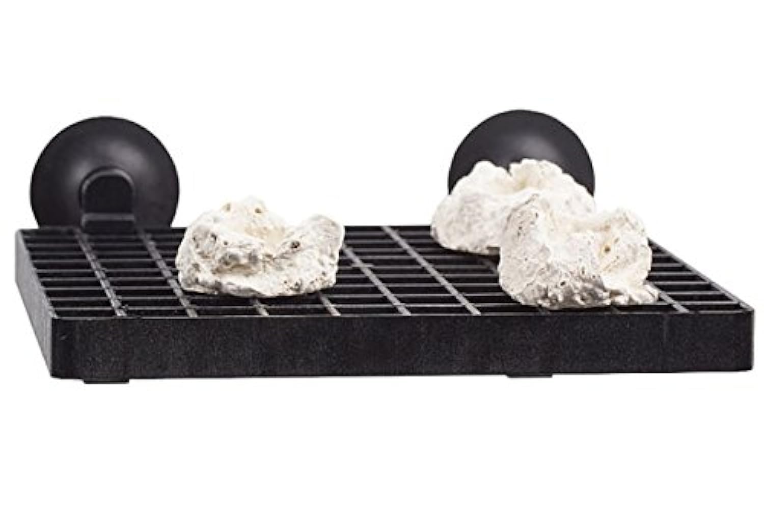 Aqua Medic Frag Board Retaining Plate with 10 Coral Pins