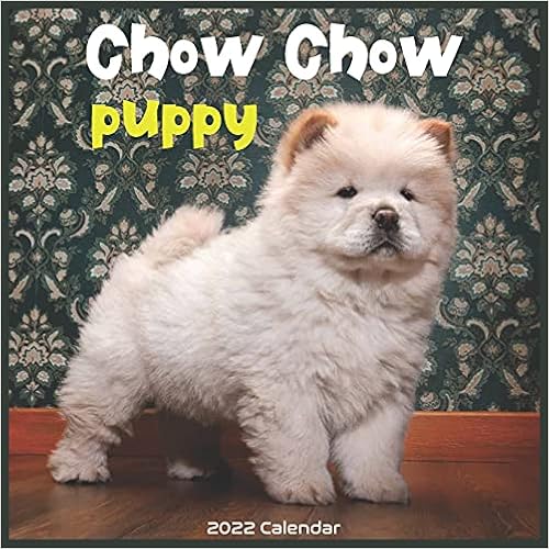 Chow Chow Puppy 22 Calendar Official Chow Chow Dog Breed 22 Calendar 16 Months 22 23 Pro Calendar Amazon Fr Livres