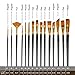 Artist Paint Brush Set, VIPITH 15 Pieces Nylon Hair Brushes for Watercolour, Oil and Acrylic, Professional Painting Brush with Holder, Paint Palette Box, Painting Knife and 2 Pieces Watercolor Sponges
