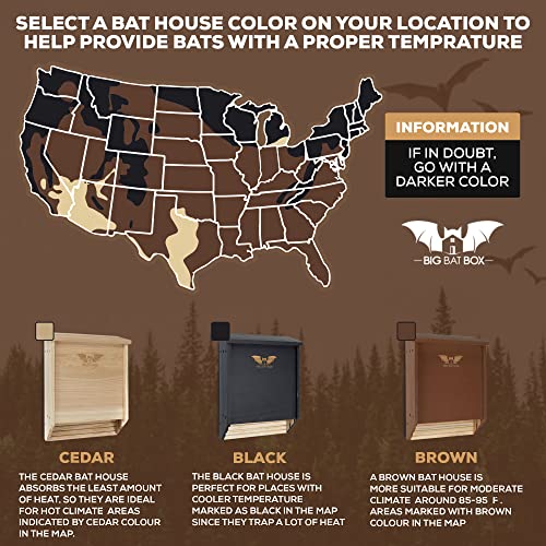 BIGBATBOX Bat House for Outdoors Clean Your Backyard from Mosquitoes Wooden Bat House Kit