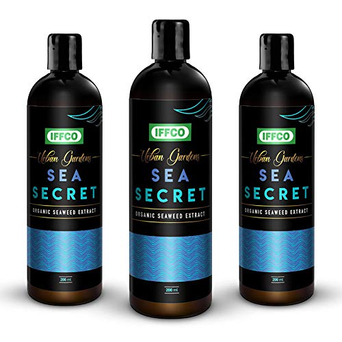 IFFCO Urban Gardens - Sea Secret 600ml (200ml X Pack of 3) – Water Soluble Liquid Seaweed Concentrate –Organic Plant Growth Promoter & Bio-Stimulant