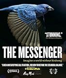 MESSENGER / (SUB)                                  image