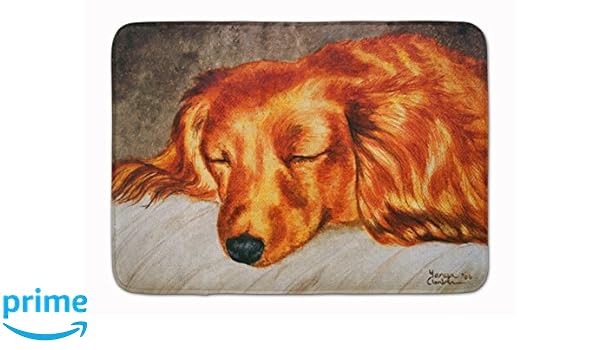 Amazon Com Caroline S Treasures Amb1202rug Red Longhaired