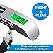 Recat Digital Hanging Luggage Scale with Temperature Sensor, Rubber Paint, 110 Pounds, Silver (1 Pack)
