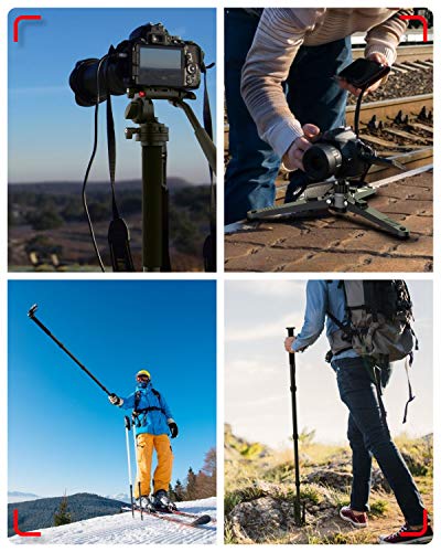 KINGJOY Video Monopod Kit, with Fluid Head and Removable Tripod Feet, 69 inch Max Height 22lbs Max Load for DSLR Cameras, MP3008+KH-6750
