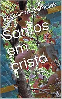 Livro Santos em cristo
