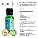 Clear Respiratory Essential Oil For Inhalation Problems Sinus Allergy Nasal Congestion Cough And Cold Breathing - 100% Pure Natural Organic Therapeutic Grade - 15ml Blend by Cure Oils