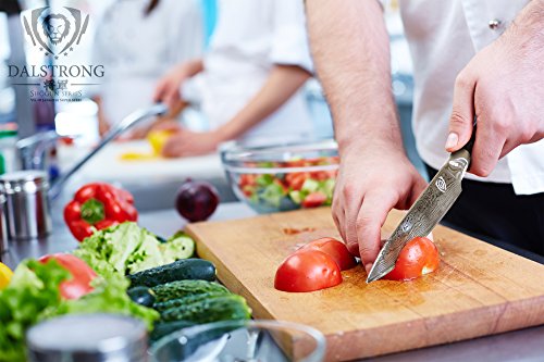 4 DALSTRONG+Utility+Knife+AUS+10V+Treated