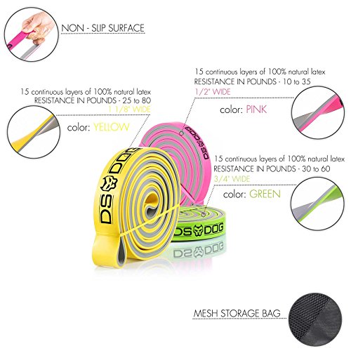 Set of 3 Dual Color Resistance Bands - with eGuide by DS DOG - Durable Workout Equipment - Compact, Effective and Versatile Latex Exercise Bands for Training at Home, Gym, Outside