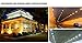 e-Joy LEDMart 50w LED Flood Light Cool Lamp Landscape Outdoor Waterproof, White
