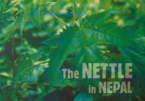 The Nettle in Nepal: Tradition and Innovation by Susi Dunsmore