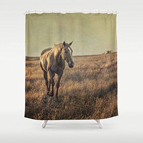 Amazon Com Photo Art Shower Curtain Custom Shower Curtain