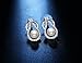 Silver Crystal Diamond Accent Pearl Round Circle Fashion Earrings Studs Drop Set for Women, with a Gift Box, White