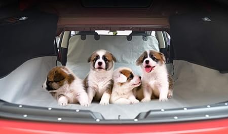 tesla model 3 back seat dog cover