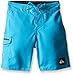 Quiksilver Big Boys' Everyday Board Short