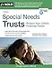 Special Needs Trusts: Protect Your Child's Financial Future