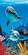 dolphin beach towel