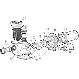 Amazon.com : Afras Pump Noise Reducer - ABF100 : Swimming