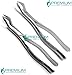 2 Pcs Dental Forceps 88L & 88R Molar Tooth Extracting Surgical Steel Instruments