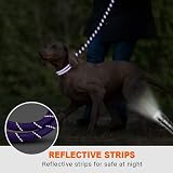 Taglory Rope Dog Lead 1.2 cm x 1.5 m Reflective Padded Handle Purple view 5