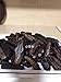 Erlin 1lb Sun Dried Black Spiky Sea Cucumber From North America Medium Size