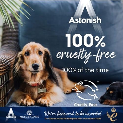 ASTONISH OVEN & COOKWARE CLEANING PASTE FOR GLASS, APPLIANCES, CERAMICS, STOVETOP & PYREX – ALL PURPOSE KITCHEN CLEANER – STAINLESS STEEL DEGREASER REMOVES BAKED ON GREASE & GRIME, 150G TUB (3 PACK)