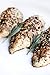 Primal Palate Organic Spices Garlic & Herb, Certified Organic, 1.9 oz Bottle