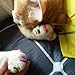 Eyourlife 20 PCS Soft Nail Caps Nail Covers Claw Caps Paw Covers for Cat Pet Kitten with Glue Claws Control Paws Off Size S Light Pink