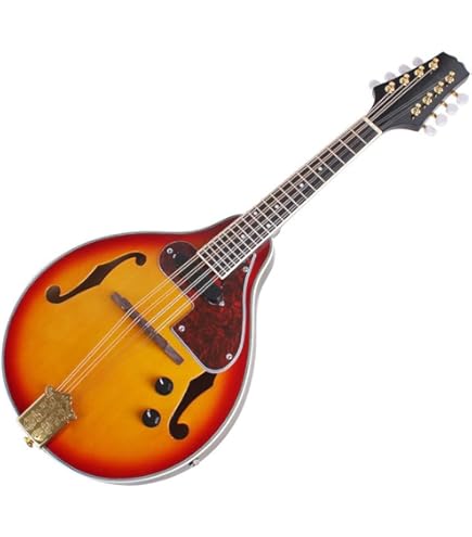 ibanez アイバニーズ マンドリン M510DVS 海外インポート ケース付 M510 | MANDOLINS | ACOUSTIC GUITARS | PRODUCTS | Ibanez guitars