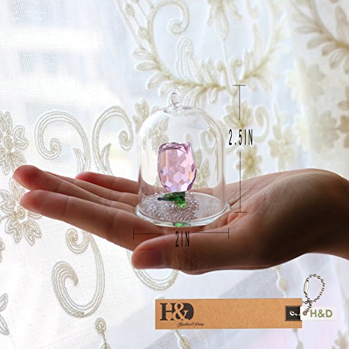 H&D Crystal Enchanted Rose Flower Figurine Dreams Ornament in a Glass Dome Gifts for her (Pink)